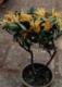 Flower Gardening